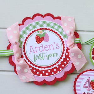 Strawberry Birthday Photo Banner - Summer Strawberry First Birthday 12 Month Photo Banner - Baby&#39;s First Year Photo Banner - Pink Red Green