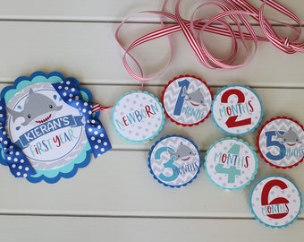 Shark First Birthday Photo Banner - 12 Month Photo Banner - Shark Birthday Party Photo Banner - Blue Aqua RED