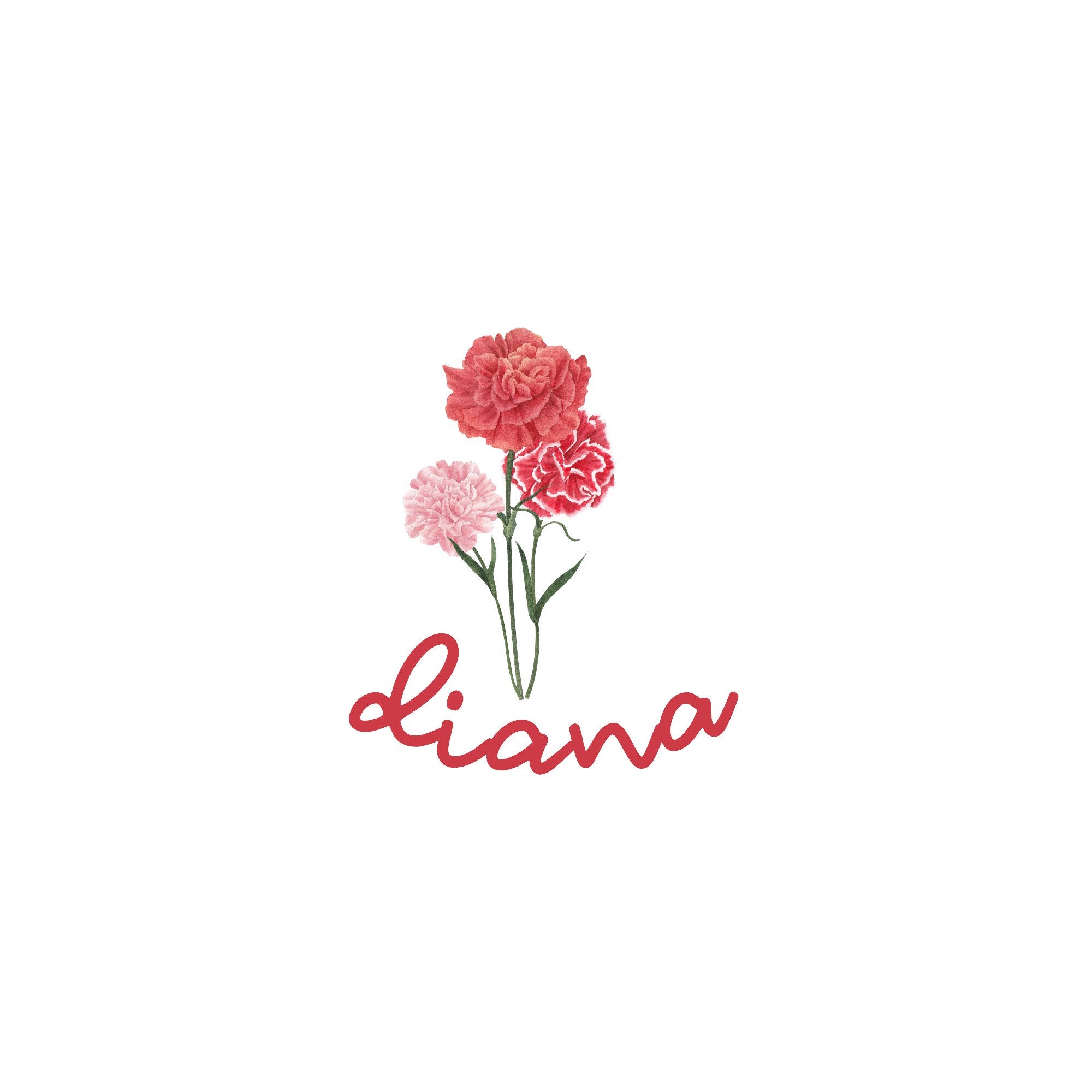 Personalized Birth Flower Mini Decorative Plate, Custom Name Ceramic Plate, Mother's Day/Birthday Gift, Gifts for Her