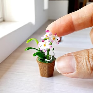 以下が含まれることがあります： 白とピンクの花、緑の葉、茶色の鉢植えのミニチュア蘭。 手の指の間に小さな植物が保持され、手作りの花の配置の繊細なディテールが示されています。 魅力的な、小規模な装飾品です。
