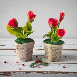 Op de afbeelding: Twee miniatuur rozenplanten in pot met felrode bloemen en groene bladeren. De planten staan in kleine, decoratieve potten gevuld met groen mos. De potten zijn beige met een textuur. Een takje groen en rode bessen zijn in de buurt verspreid.
