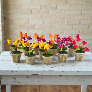 以下が含まれることがあります： 黄色、オレンジ、紫、赤の鮮やかな花が咲く、ミニチュアの鉢植えの花のコレクション。小さな植物はベージュ色のバスケット風の鉢に入っており、レンガの壁を背景に白い木のテーブルに並べられています。