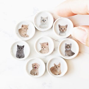 Puede incluir: Ocho platos de cer&aacute;mica blanca, cada uno con una imagen diferente de gatito. Los gatitos son de diferentes razas y colores, incluyendo un gatito atigrado gris, un gatito blanco, un gatito atigrado marr&oacute;n y un gatito blanco y negro.