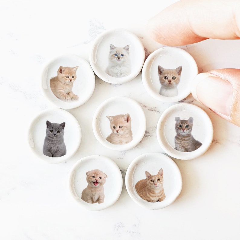 Puede incluir: Ocho platos de cer&aacute;mica blanca, cada uno con una imagen diferente de gatito. Los gatitos son de diferentes razas y colores, incluyendo un gatito atigrado gris, un gatito blanco, un gatito atigrado marr&oacute;n y un gatito blanco y negro.