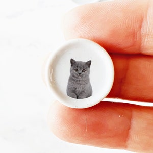 Puede incluir: Un peque&ntilde;o plato de cer&aacute;mica blanco con una imagen de un gatito gris. El gatito est&aacute; sentado con las patas metidas debajo del cuerpo y mirando directamente a la c&aacute;mara.