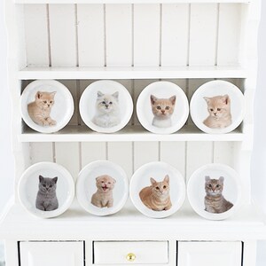 Puede incluir: Una estanter&iacute;a blanca con ocho platos de cer&aacute;mica blanca, cada uno con una imagen diferente de gatito. Los gatitos son de diferentes razas y colores, incluyendo atigrado, calico y blanco.
