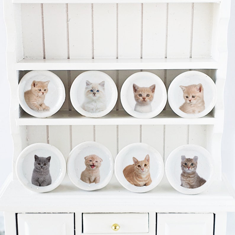Puede incluir: Una estanter&iacute;a blanca con ocho platos de cer&aacute;mica blanca, cada uno con una imagen diferente de gatito. Los gatitos son de diferentes razas y colores, incluyendo atigrado, calico y blanco.