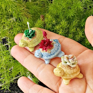 Miniature Cactus Succulent in Turtle Ceramic Pot: Dollhouse Fairy Garden Decor