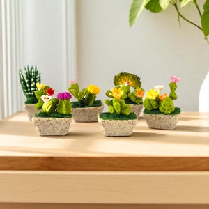 Peut inclure: Plusieurs petits cactus décoratifs dans des pots carrés tachetés. Les cactus sont de différentes nuances de vert, certains avec des fleurs en tissu colorées jaunes, roses et rouges. Les pots sont remplis de mousse verte.