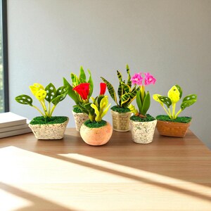 Puede incluir: Una colección de seis plantas en macetas en miniatura con hojas y flores coloridas. Las plantas están en varias macetas, incluyendo recipientes moteados, texturizados y de madera. Las plantas incluyen flores amarillas, verdes y rosas, y están dispuestas sobre una superficie de madera.