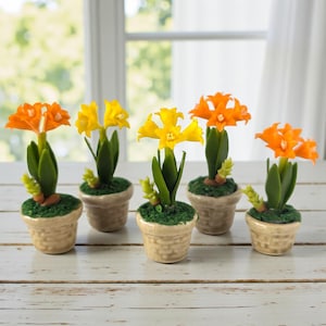 以下が含まれることがあります： オレンジと黄色の花が咲く、5つのミニチュア鉢植えの花。 花には緑の葉があり、緑の苔で満たされた小さなベージュの鉢に植えられています。 背景には窓と白いカーテンが含まれています。