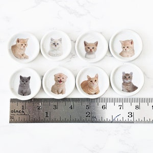 Puede incluir: Ocho posavasos de cer&aacute;mica blanca con diferentes im&aacute;genes de gatitos. Los posavasos est&aacute;n dispuestos en dos filas de cuatro. Una regla se coloca debajo de los posavasos.