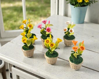 Miniatuurbloempotset: handgemaakte poppenhuisaccessoires Fairy Garden Decor (set van 4)