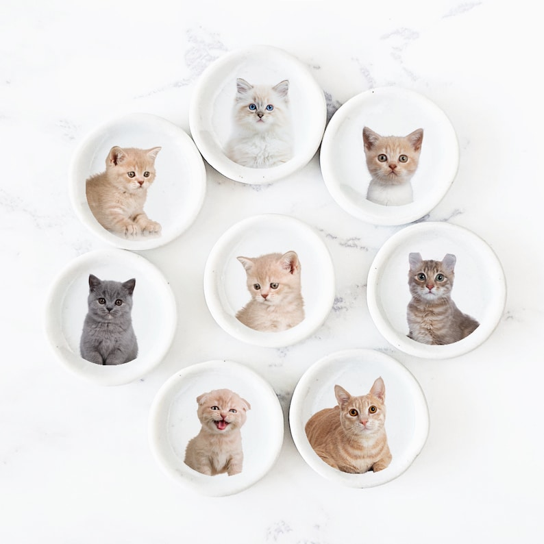 Puede incluir: Ocho platos de cer&aacute;mica blanca, cada uno con una imagen de gato diferente. Los gatos son de diferentes razas y colores, incluyendo un gato atigrado gris, un gato blanco, un gato atigrado marr&oacute;n, un gato blanco y negro, un gato calico y un gato jengibre.