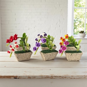 以下が含まれることがあります： 色とりどりの花が咲く小さな鉢植えがいくつかあります。花は赤、白、紫、黄色です。正方形の鉢はまだら模様で、緑色の苔で満たされています。植物は明るい色の木製の表面に配置されています。