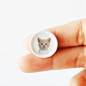 Puede incluir: Un peque&ntilde;o plato de cer&aacute;mica blanco con una imagen de un gatito marr&oacute;n claro con ojos verdes mirando directamente a la c&aacute;mara.