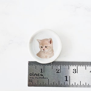 Puede incluir: Un peque&ntilde;o plato de cer&aacute;mica blanca con una imagen de un gatito marr&oacute;n claro mirando hacia abajo. El plato tiene un di&aacute;metro de aproximadamente 2,5 cm.