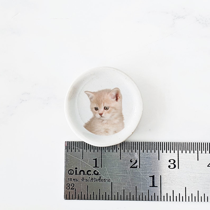 Puede incluir: Un peque&ntilde;o plato de cer&aacute;mica blanca con una imagen de un gatito marr&oacute;n claro mirando hacia abajo. El plato tiene un di&aacute;metro de aproximadamente 2,5 cm.