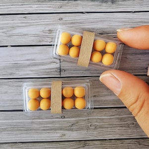 Miniature Egg Carton : miniature groceries Dollhouses Accessories Kitchen Decor (Set of 2)