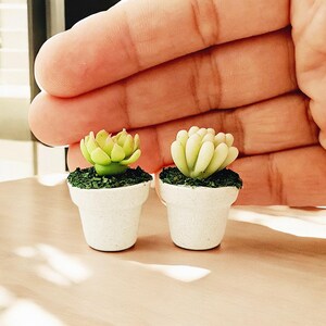 Miniature Succulent Fairy Garden- mini plants for dollhouse decorating, Succulent fairygarden gift, Mini Gairies Garden Displays, Set of 2