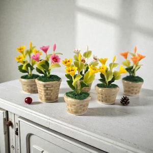 May include: Six miniature potted plants with yellow, pink, white, and orange flowers. The small ceramic pots have a basket weave design and are filled with green moss. A cherry and pinecone are also on the white surface.