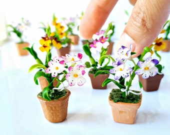 Tiny Orchid flowers pot , Dollhouse Miniatures , Tiny house , Fairy Garden Decoration , Tiny gifts , miniature gifts , miniature decors