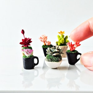 Miniature Succulent Plants in Ceramic Pots – Polymer Clay Cactus for Dollhouse Decorating, Tiny Flowe, 1:12 Scale, Fairygarden  gift