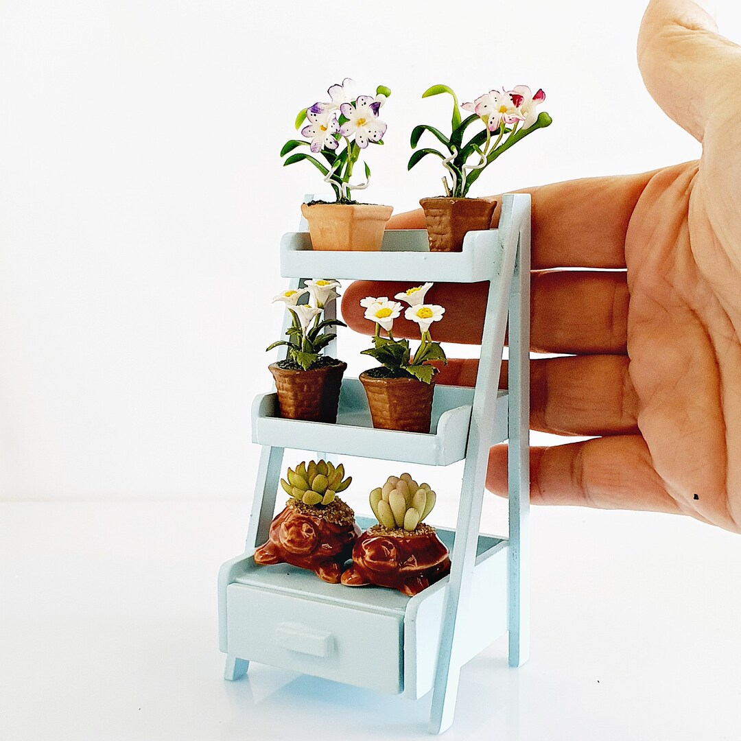 Fabriquer Une Etagere Pour Orchidée Miniatures Cactus Succulentes Orchidée Fleurs Plantes Pots - Etsy France