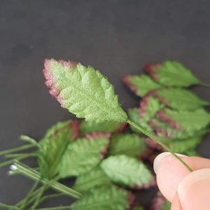 Pode incluir: Close-up de uma folha artificial verde com borda vermelha. A folha é segurada por um caule fino de arame verde. Outras folhas semelhantes estão no fundo. Estas folhas são provavelmente para artesanato ou arranjos florais.