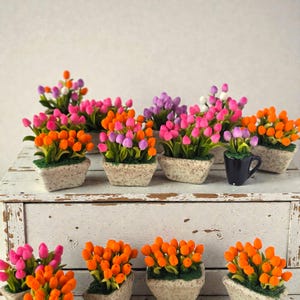 Miniatyrsmå tulpanblommor i keramisk kruka: Dockhusväxter, älvträdgårdsdekor