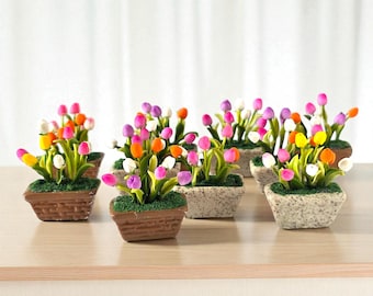 1 Pezzo Pianta Di Tulipano In Vaso Per La Festa Della Mamma - Foto 7