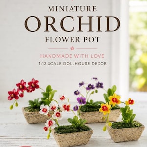 Maceta miniatura para orquídeas: Accesorios para jardines de hadas y decoración de casas de muñecas