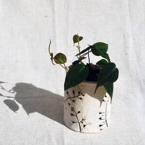 White Ceramic Planter • 4” Pot