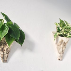 Puede incluir: Dos maceteros montados en la pared, cada uno con vegetación. Los maceteros tienen forma de cono con un acabado texturizado de color claro y un diseño de hoja. Uno contiene hojas grandes de color verde oscuro, el otro follaje abigarrado verde y blanco.