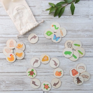 Story Stones, Life Cycle Puzzle, Animal Education, Wooden Toys For Kids, Nature Classroom, Early Years Outdoors, Learning Resources