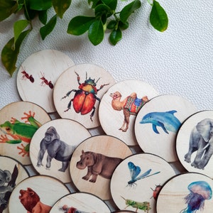 May include: A set of 12 wooden round discs featuring various animal and insect illustrations. The illustrations include a camel, a beetle, a frog, a gorilla, a hippopotamus, a dragonfly, a dolphin, an elephant, a jellyfish, and ants.