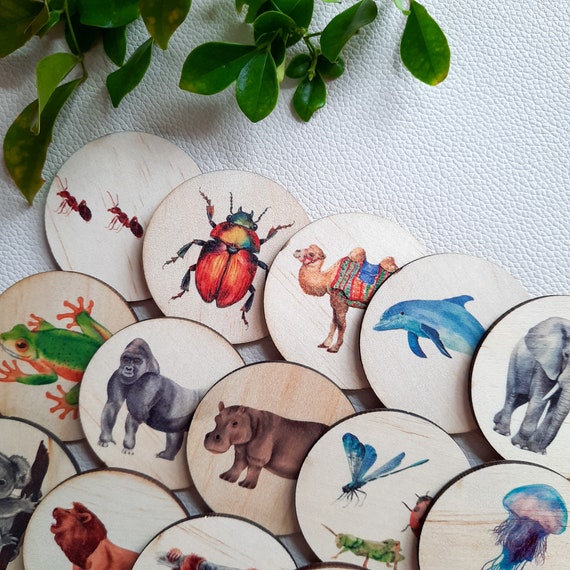 Story Stones, Alphabet Activity For Kids, Phonics Pictures, Alphabet Matching, Montessori Toys, Homeschool Resources, Early Years Resources