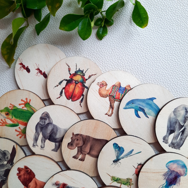 May include: A set of 12 wooden round discs featuring various animal and insect illustrations. The illustrations include a camel, a beetle, a frog, a gorilla, a hippopotamus, a dragonfly, a dolphin, an elephant, a jellyfish, and ants.