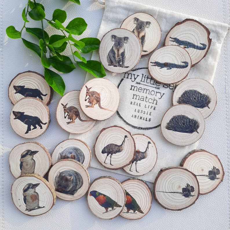 Wooden Memory Game, Australian Animals, Memory Match, Story Stones, Educational Resources, Learning Resources, Montessori Toys For Kids image 1