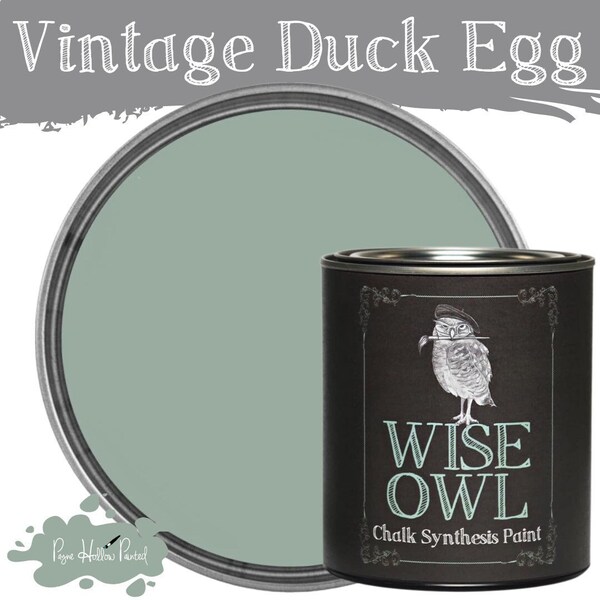 Vintage Duck Egg Etsy