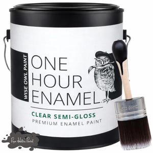 May include: A can of Wise Owl Paint with the text "ONE HOUR ENAMEL" and a drawing of an owl wearing a beret and holding a paintbrush. A paintbrush with black bristles is next to the can. The paint is clear semi-gloss.