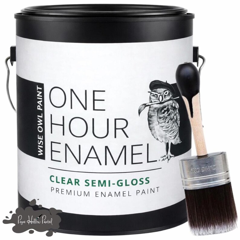 May include: A can of Wise Owl Paint with the text "ONE HOUR ENAMEL" and a drawing of an owl wearing a beret and holding a paintbrush. A paintbrush with black bristles is next to the can. The paint is clear semi-gloss.