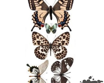 BUTTERFLY Redesign Transfer • 3PK 6 X 12 • Redesign With Prima • Rub On Transfer • Furniture Transfer • Furniture Upcycling