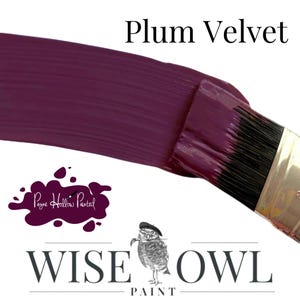 May include: A paintbrush spreading a swatch of Plum Velvet paint, a deep purple hue. The Wise Owl Paint logo is visible, featuring an owl wearing a beret. The text "Plum Velvet" is displayed above the paint swatch.