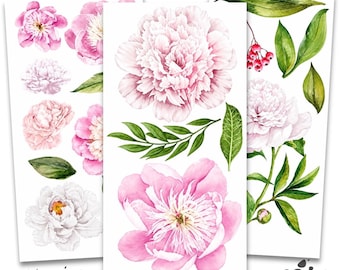 May include: Three sheets of Redesign Décor Transfers featuring watercolor peony flowers in shades of pink and white, with green leaves. The sheets are labeled "Morning Peonies" and measure 6" x 12".