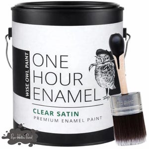 May include: A black and white paint can with the text "ONE HOUR ENAMEL" and "CLEAR SATIN". A paintbrush with a wooden handle and dark bristles is next to the can. The Wise Owl Paint logo features an owl.