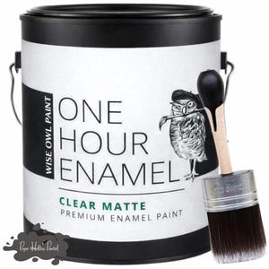 May include: A black and white paint can with the text "ONE HOUR ENAMEL" and a cartoon owl illustration. A paintbrush with black bristles rests against the can. The paint can is labeled "CLEAR MATTE PREMIUM ENAMEL PAINT".