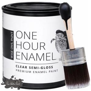 May include: A can of Wise Owl Paint's One Hour Enamel, with a clear semi-gloss finish, and a paint brush. The can is black and white with an owl illustration. The brush has a wooden handle and a silver ferrule.