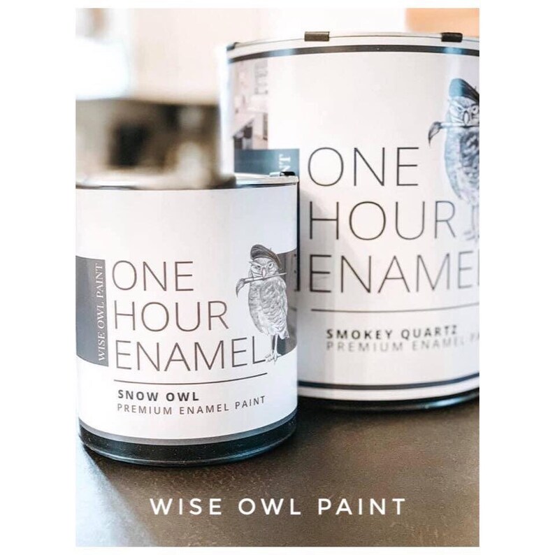 One Hour Enamel Paint CHARLESTON GREEN Wise Owl Paint Etsy