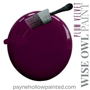 May include: A large, glossy sphere painted in a deep plum colour, with a paintbrush resting on top. The text "PLUM VELVET" and "WISE OWL PAINT" are displayed vertically on the right side. The website address paynehollowpainted.com is at the bottom.